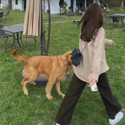 姜戈与姜戈